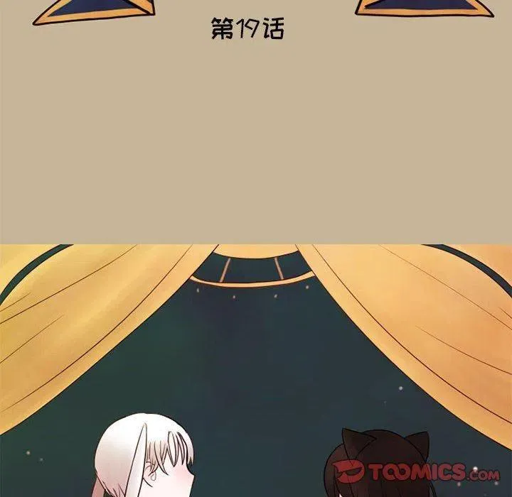 19 第6页