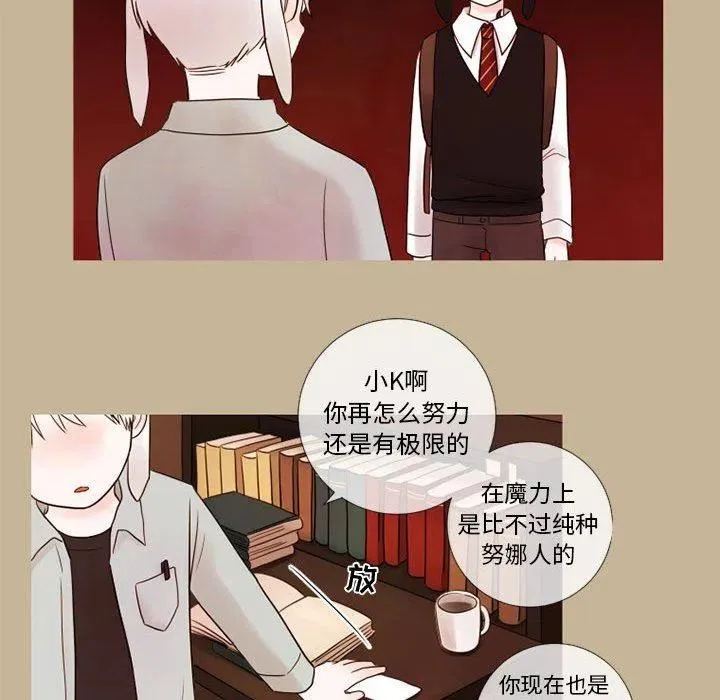 19 第24页
