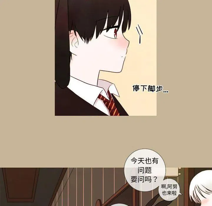 19 第48页