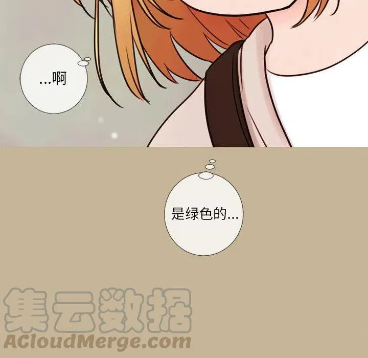 20 第31页