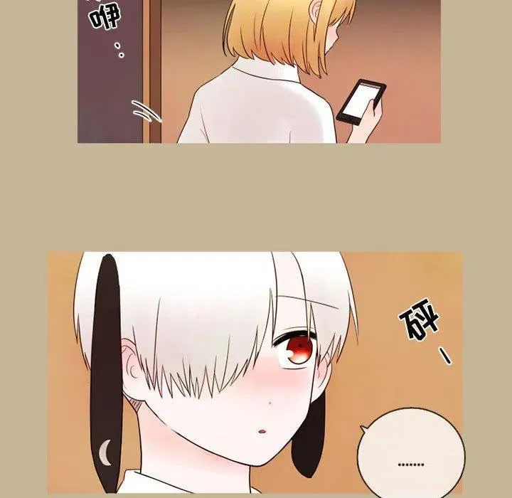 21 第41页