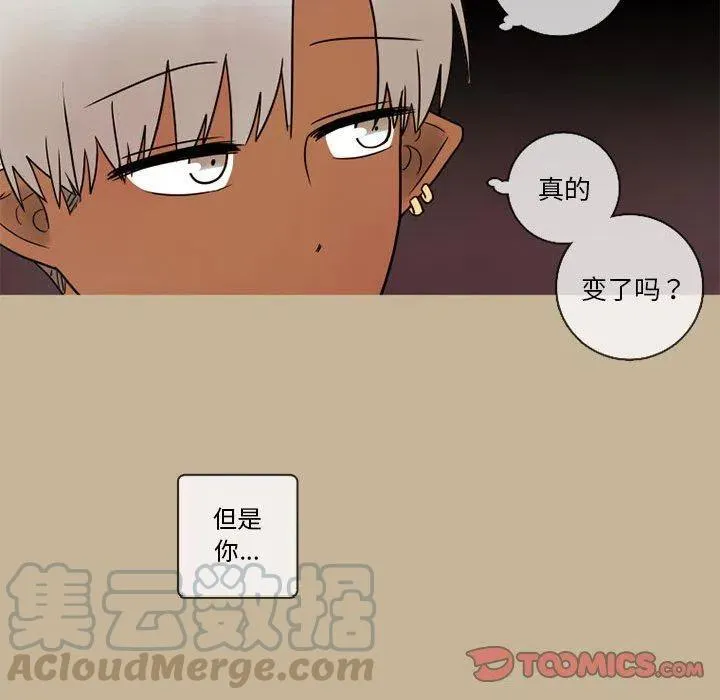 21 第55页