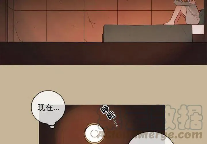 25 第4页
