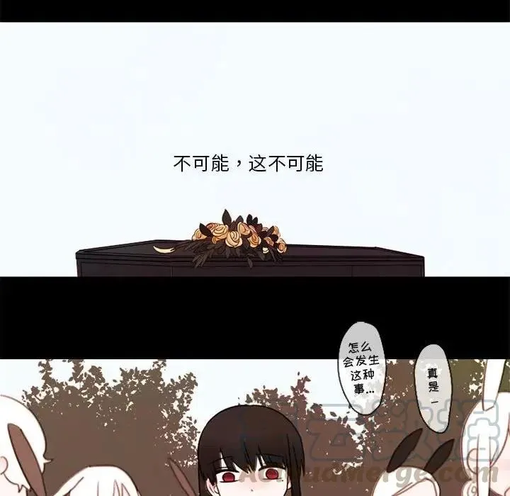 26 第25页