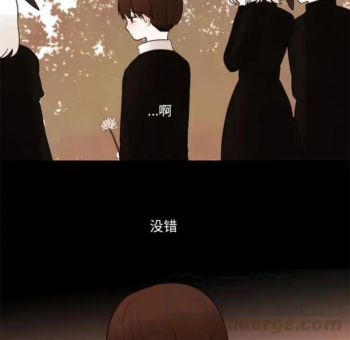 26 第31页