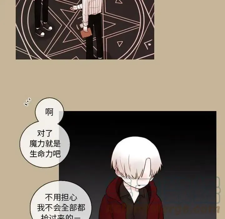 26 第43页