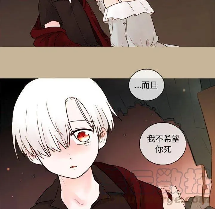 27 第52页