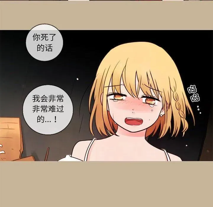 27 第53页