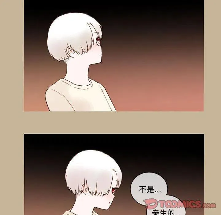 28 第66页