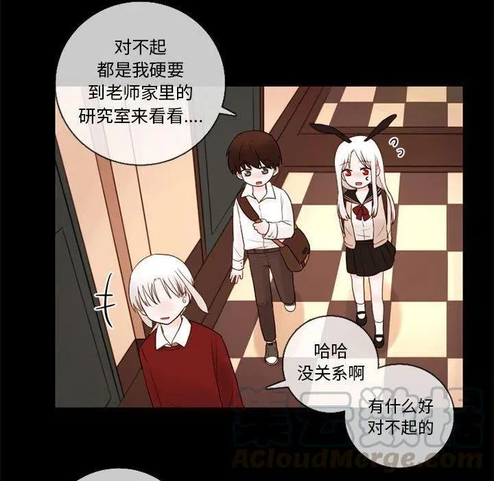 29 第31页