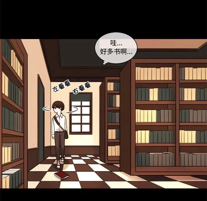 29 第41页