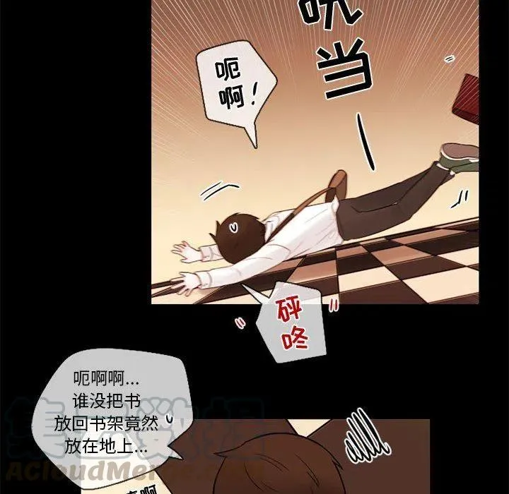 29 第43页