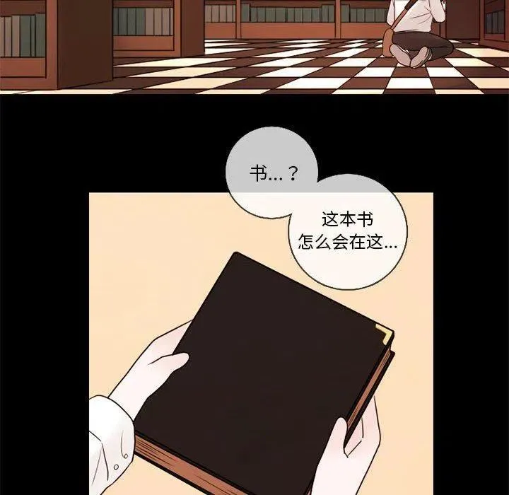 29 第48页