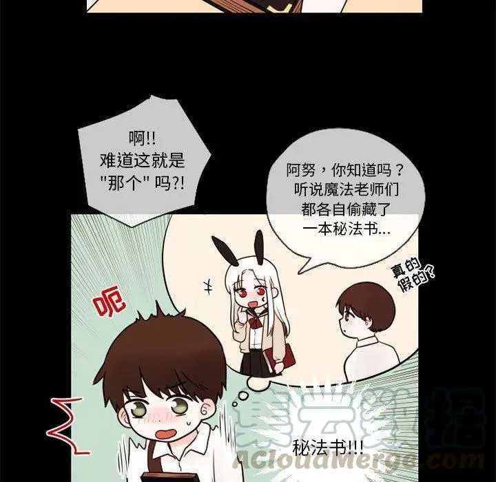 29 第49页