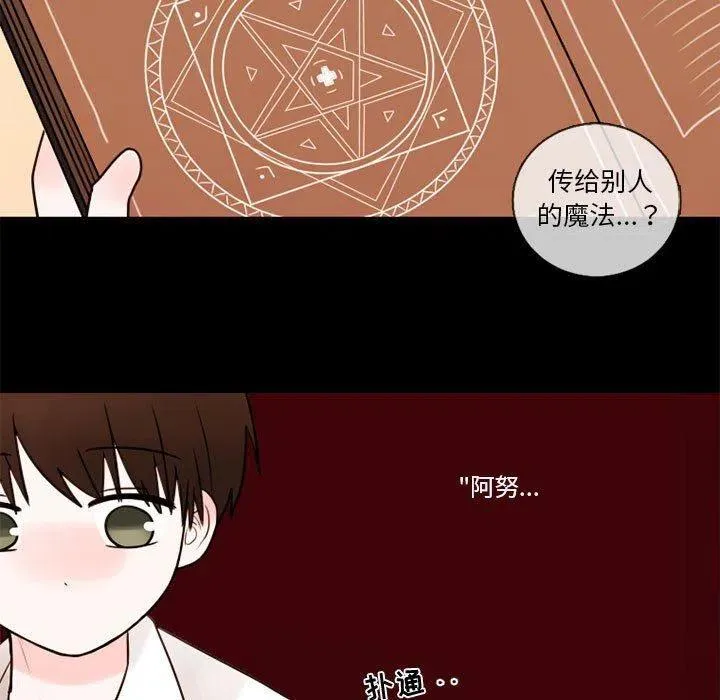 29 第53页
