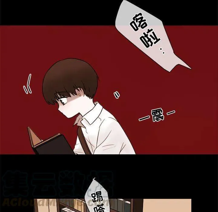 29 第55页