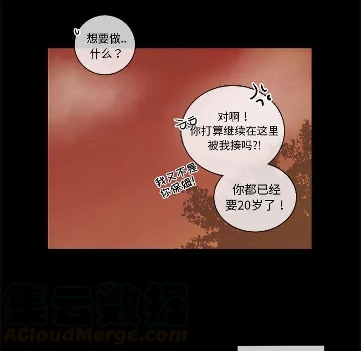 31 第85页