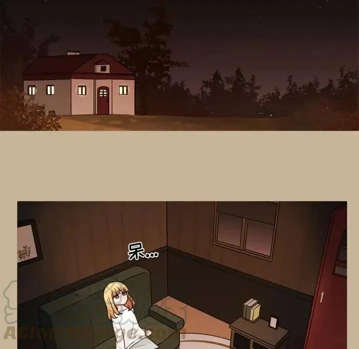 36 第31页
