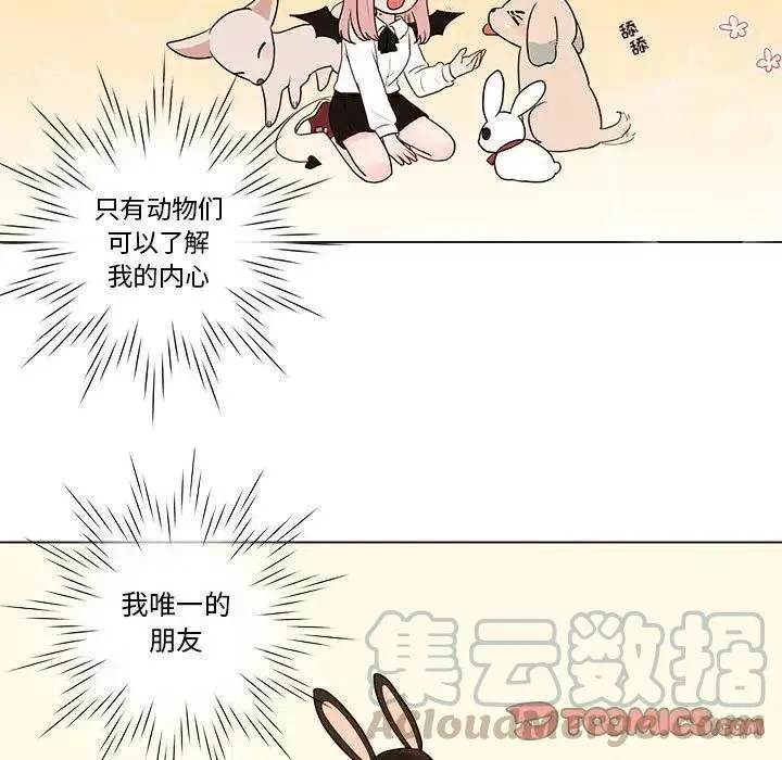 41 第22页