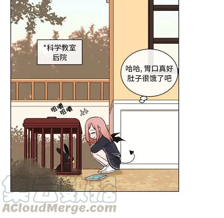 40 第61页
