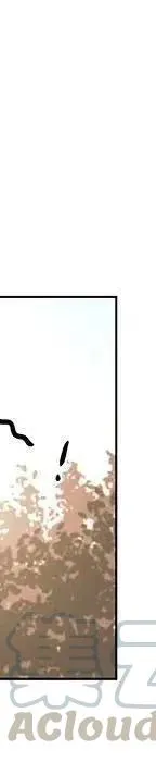 47 第265页
