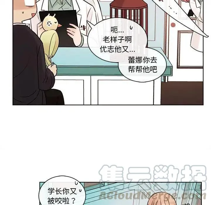 53 第52页