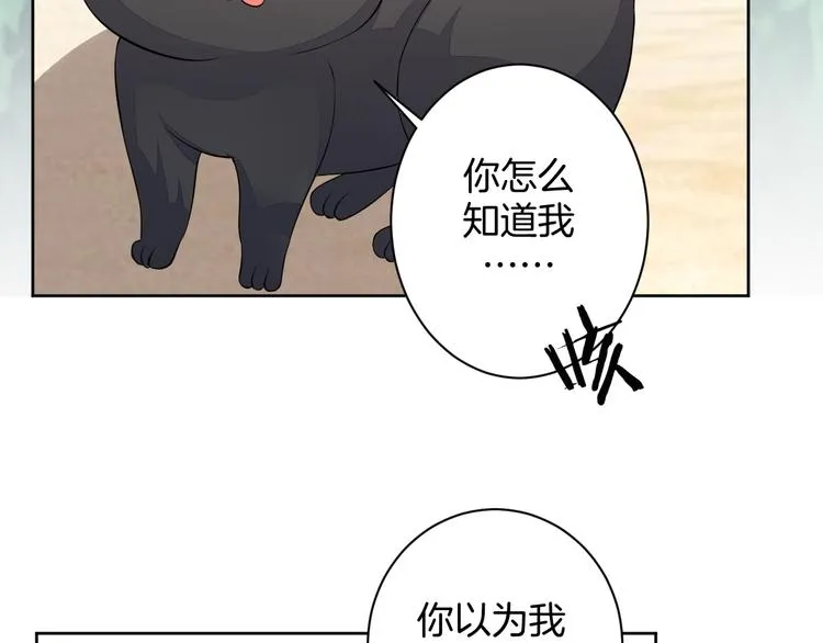 第24话 各自方向 第15页