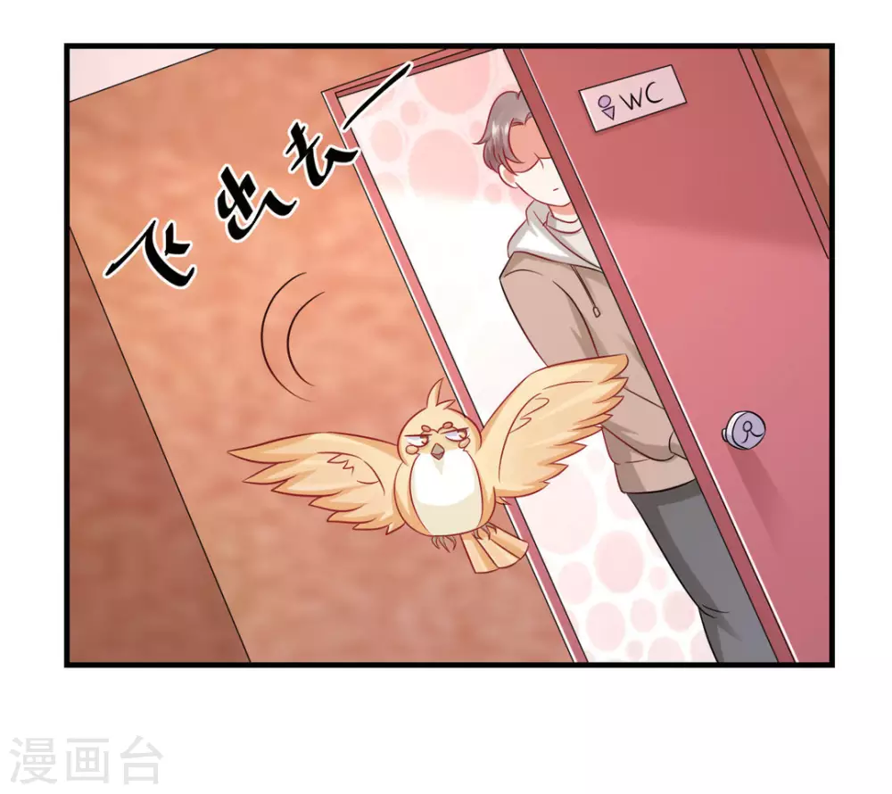 第41话 第15页
