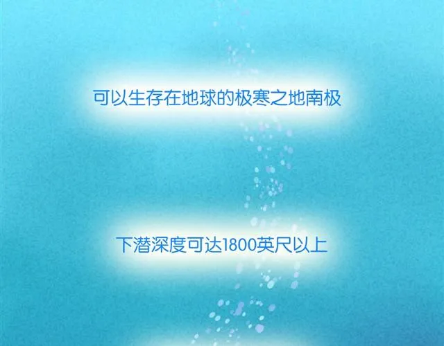 每个人，都有自己的长处呀 第12页