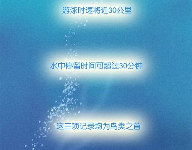 每个人，都有自己的长处呀 第13页