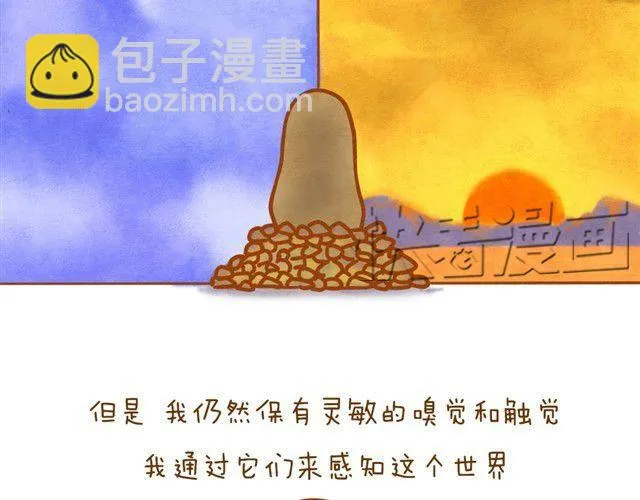 最真实的你最珍贵 第6页