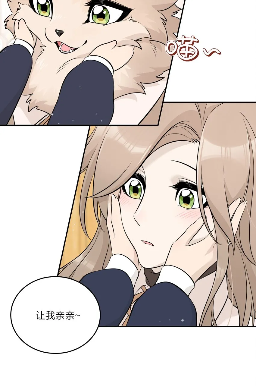 120 大猫猫！ 第7页