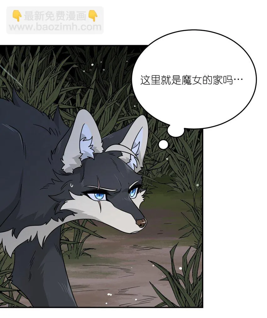 特别篇 猎人与狼：高赏金的委托 第12页