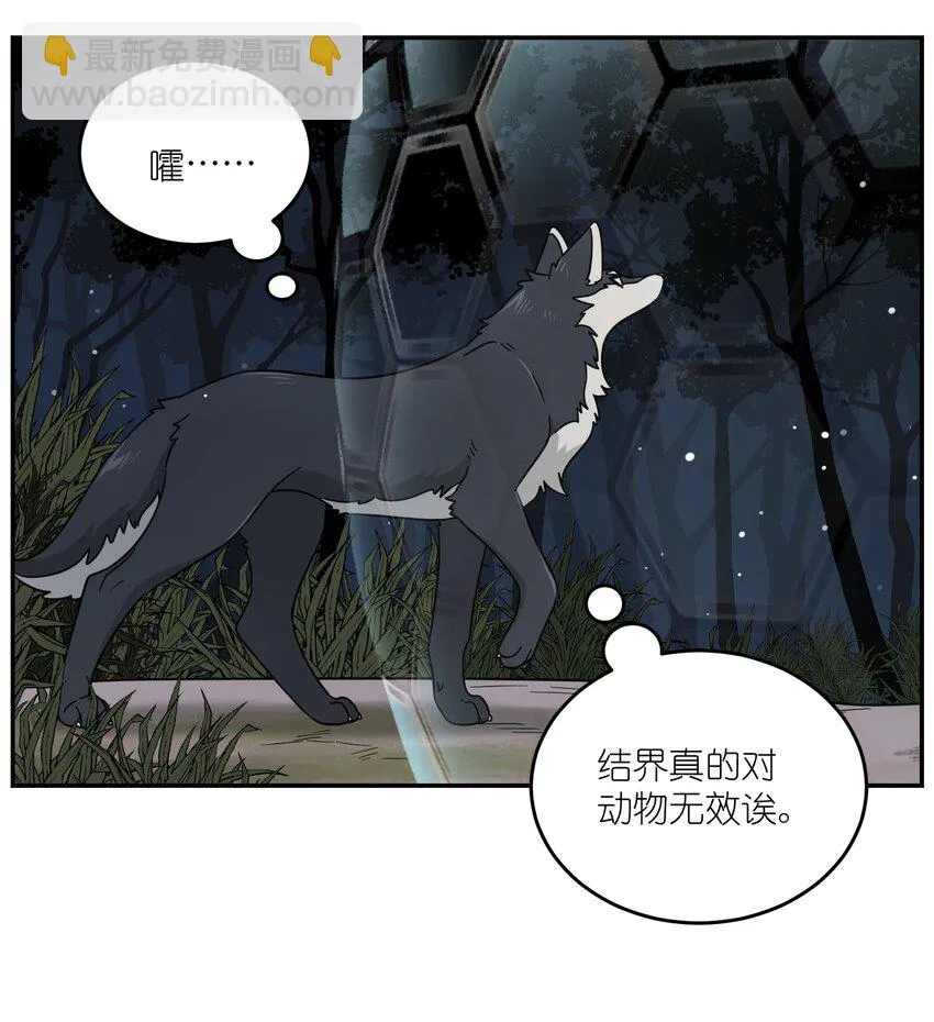 特别篇 猎人与狼：高赏金的委托 第13页