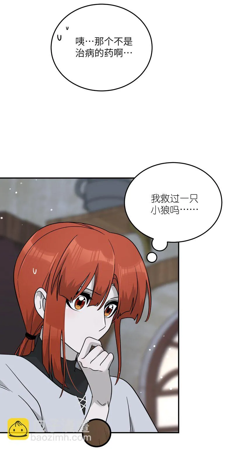 特别篇 猎人与狼：高赏金的委托 第33页