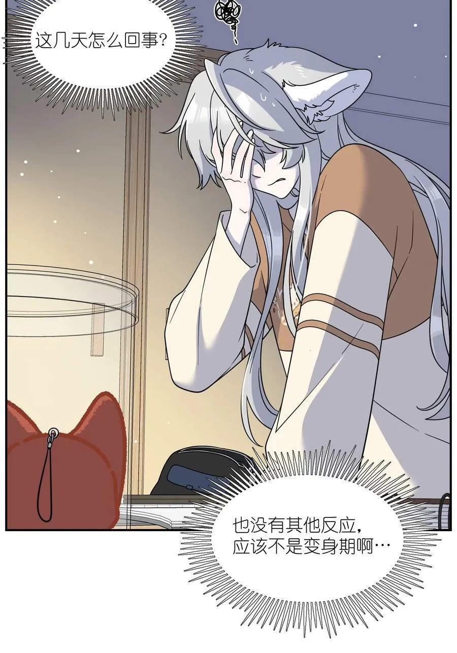 132 测试ing 第11页