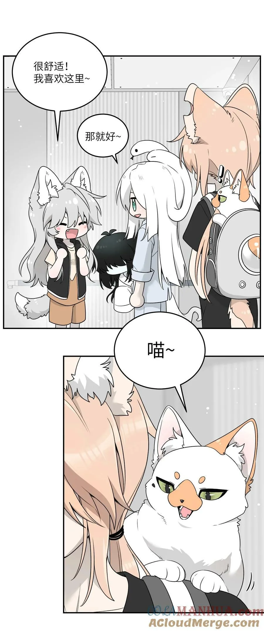 144 新的租客 第25页