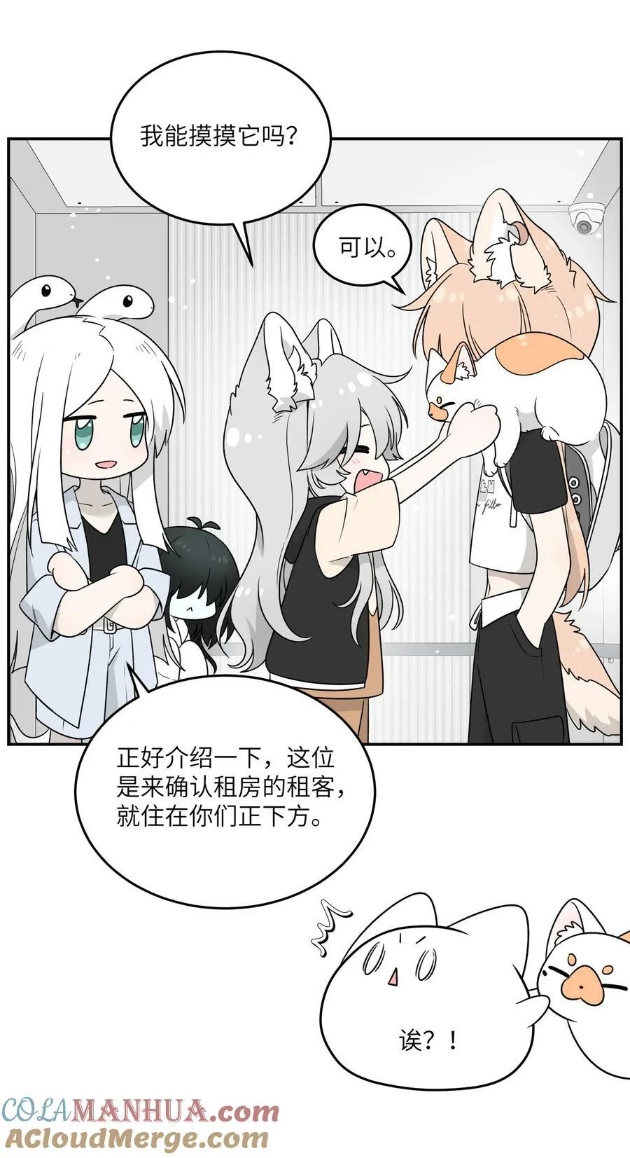 144 新的租客 第27页