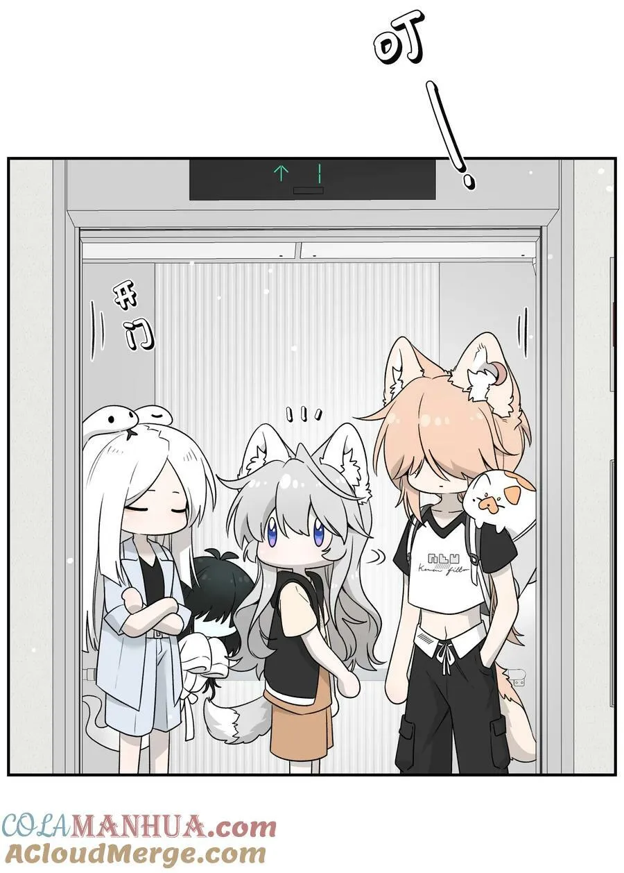 144 新的租客 第31页