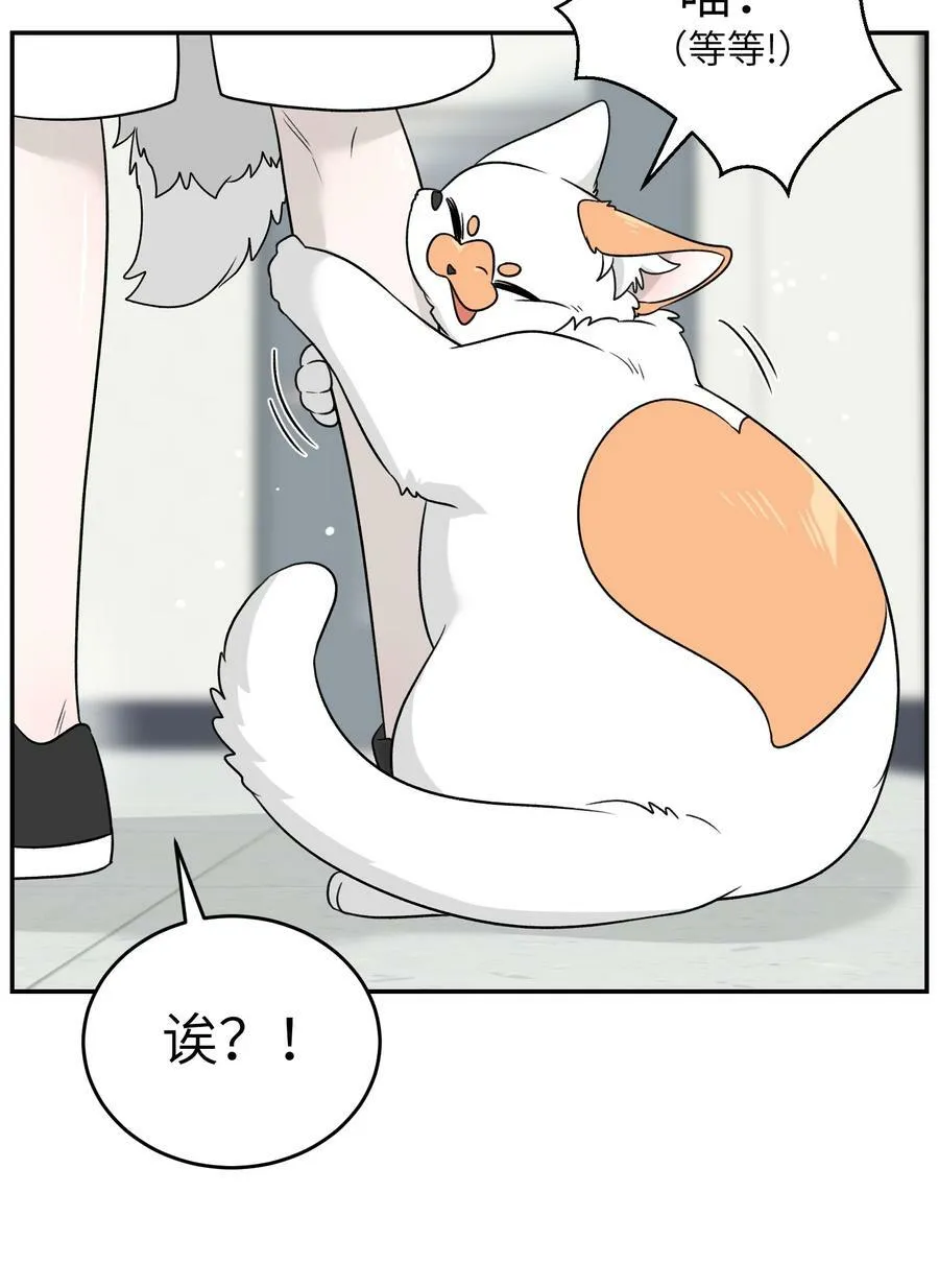 145 坏人！变态！大白痴！（含抽奖） 第26页
