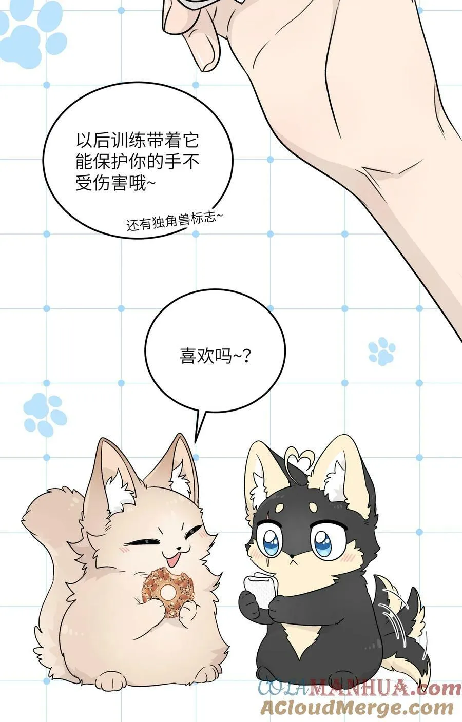 148 伞下 第19页