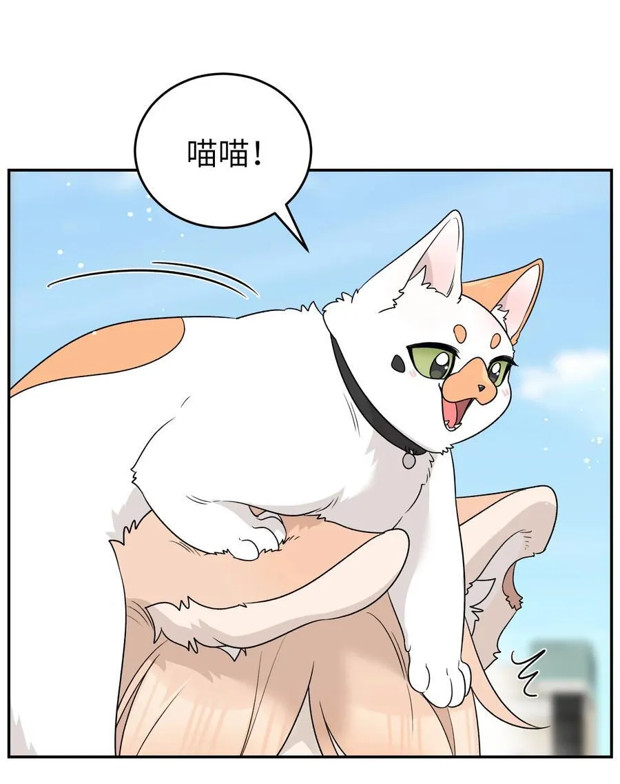 153 叹气二人组 第3页
