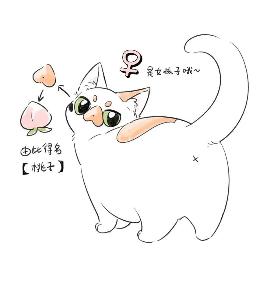 153 叹气二人组 第45页