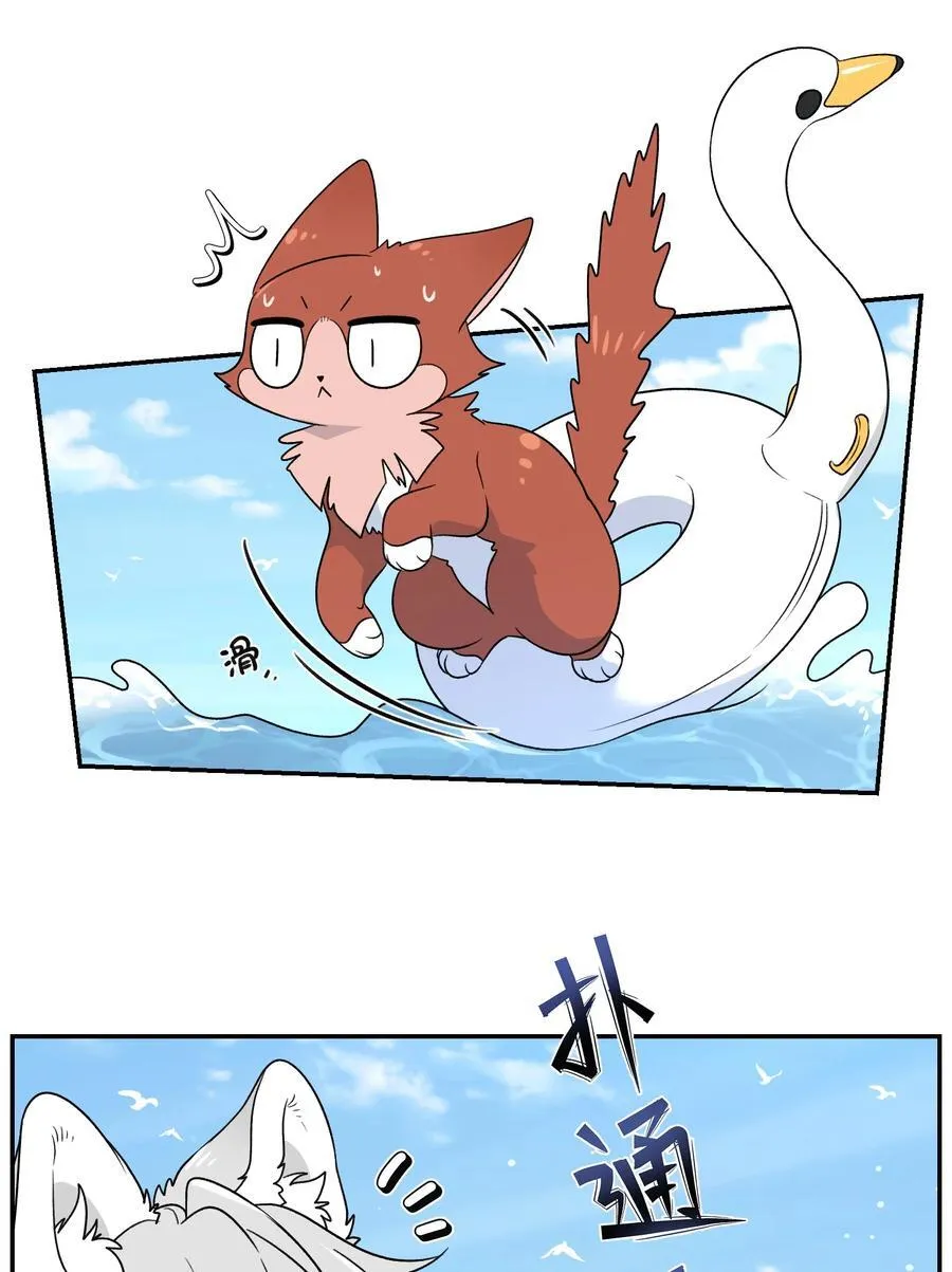 157 抵达海岛！ 第23页