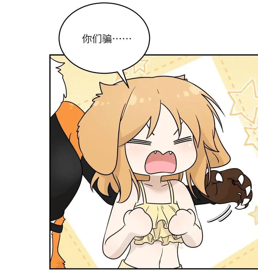 161 安全着陆 第21页