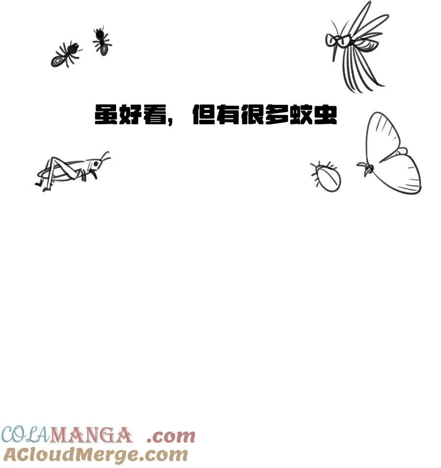 175 支持 第40页