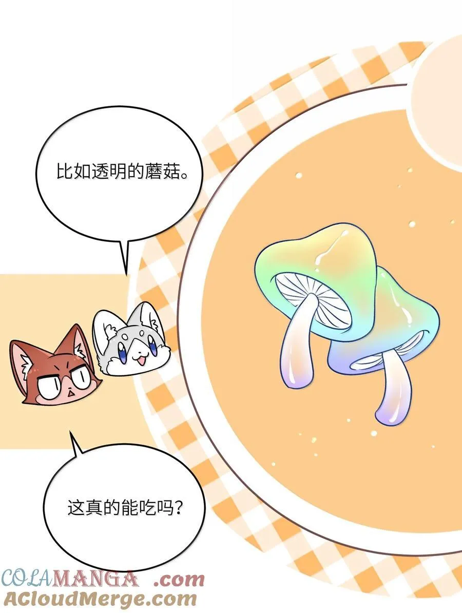 185 不可以！ 第19页