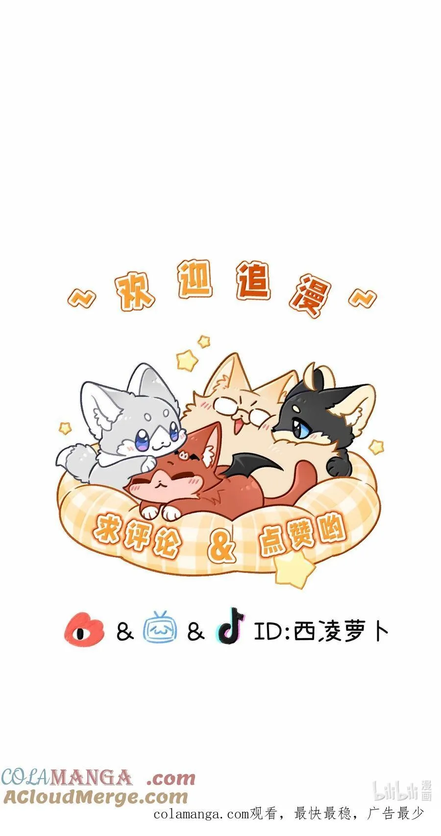 196 评估结果 第49页