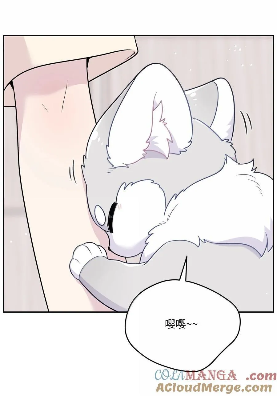 199 全新的体验（含抽奖） 第13页