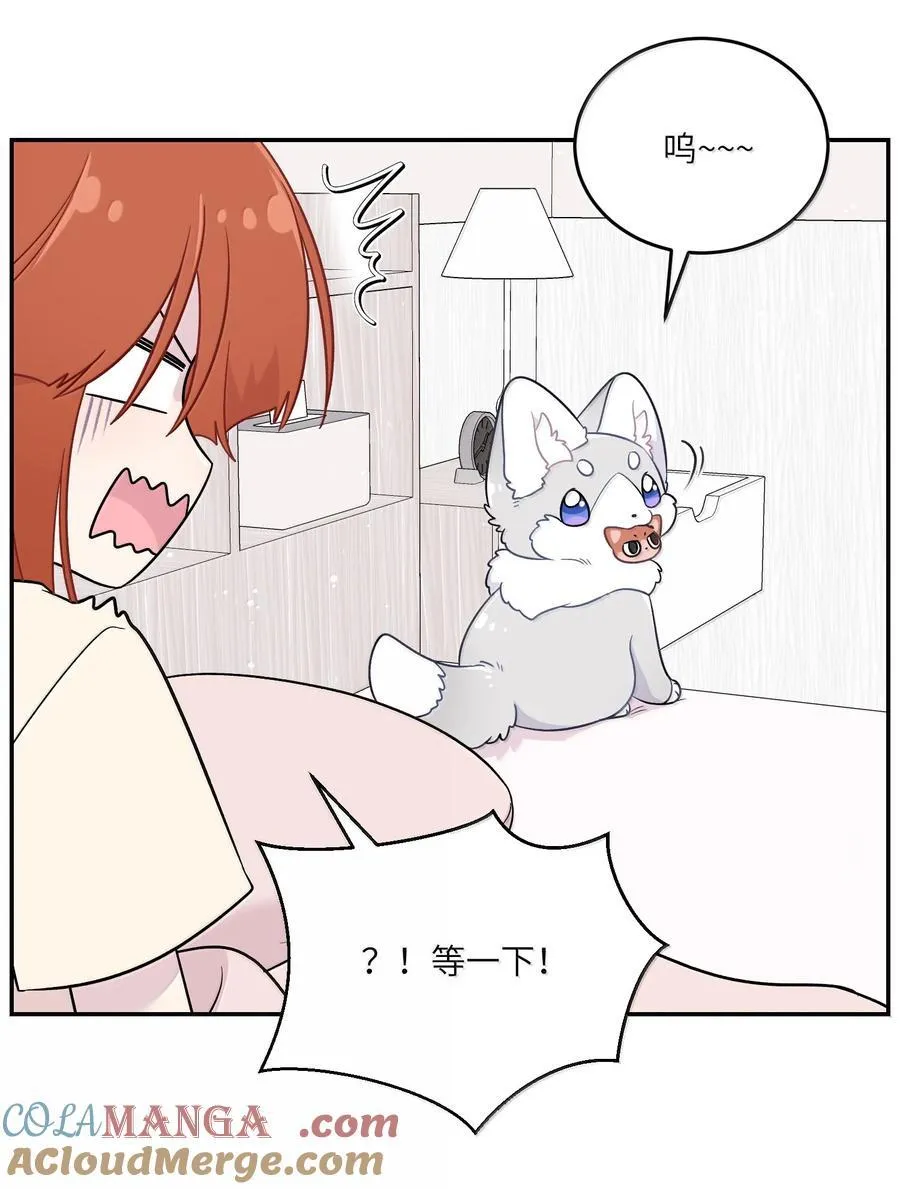 199 全新的体验（含抽奖） 第19页